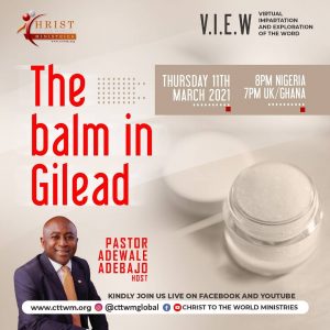 V.I.E.W | Balm in Gilead V.I.E.W | Balm in Gilead